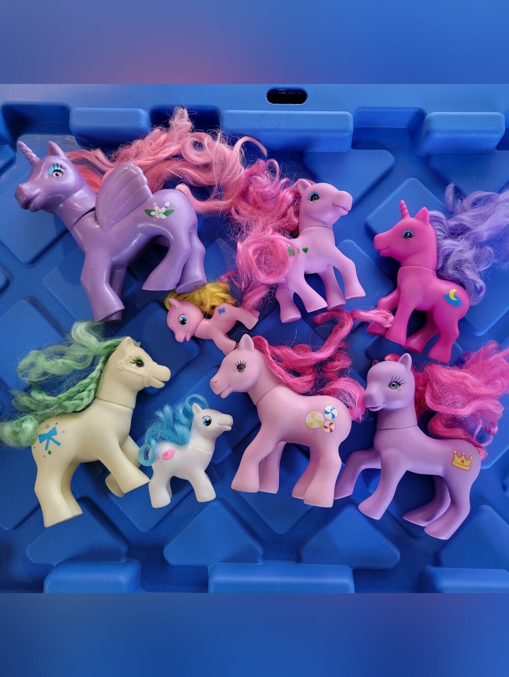 Lot of Ponies! (8)